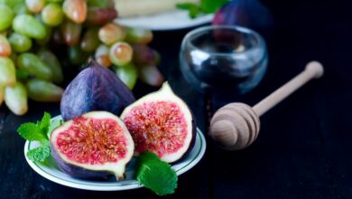 Discover the Secret to Wellness with Figù