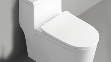 Choosing the Right Skirted Elongated Toilet for Your Home