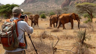 Discover When to Visit Ethiopia for an Unforgettable Experience