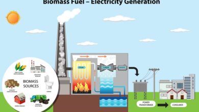 Busting Myths about Biomass Energy and Why It Matters