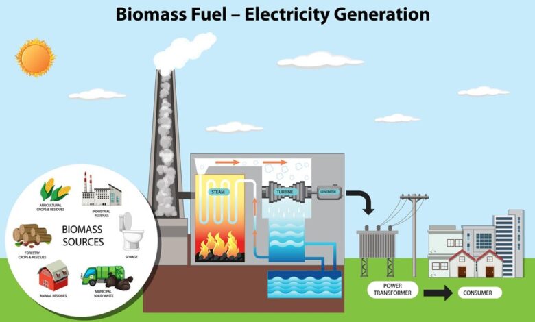 Busting Myths about Biomass Energy and Why It Matters