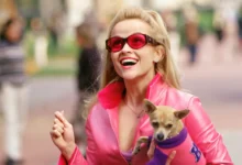 Think Pink and Prosper 5 Essential Life Lessons from Legally Blonde