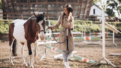 Exercise Tips for Long Horses: Keeping Them Fit and Happy 